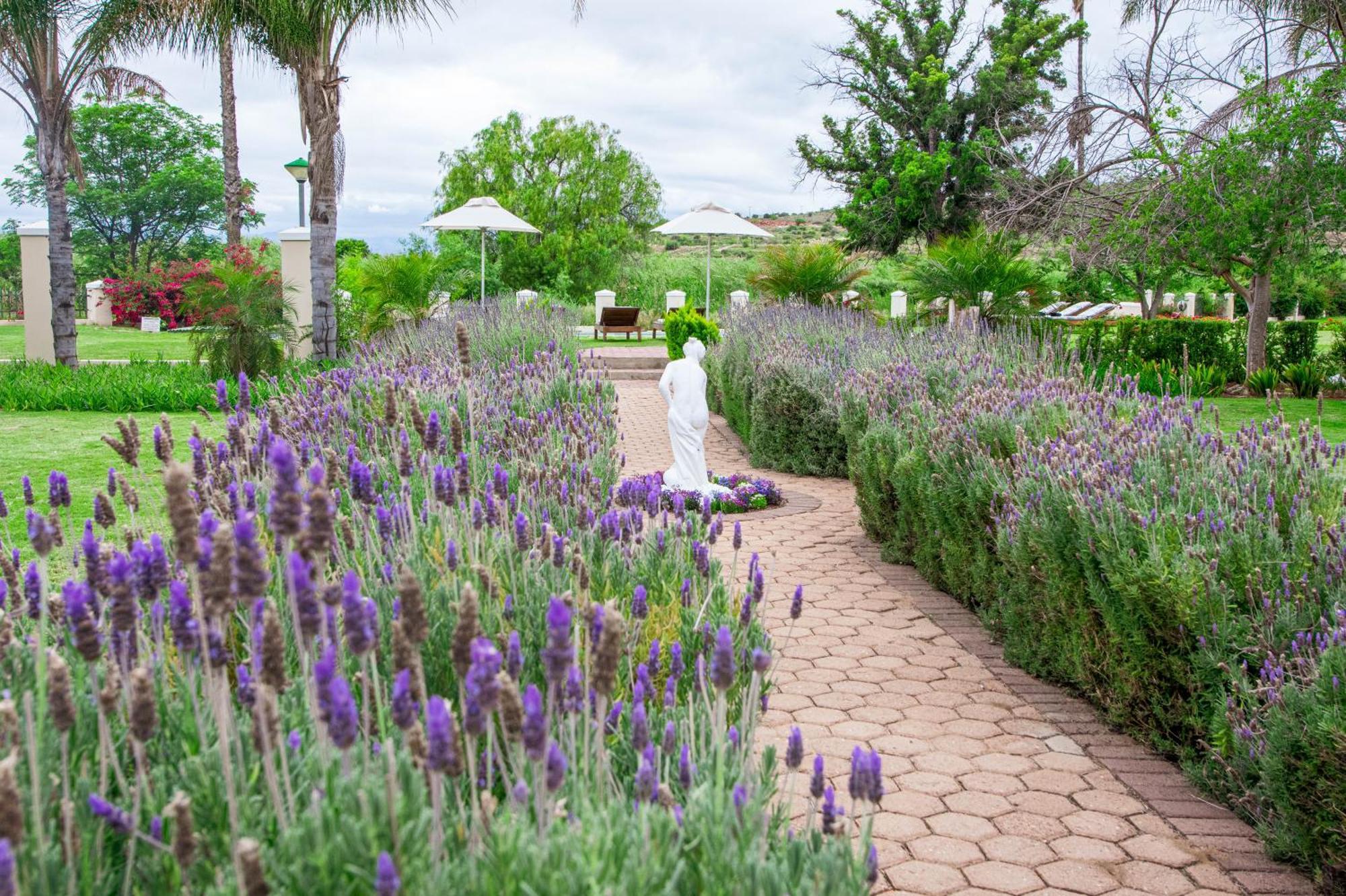 Bakenskraal Ostrich Palace เอาท์สโฮร์น ภายนอก รูปภาพ